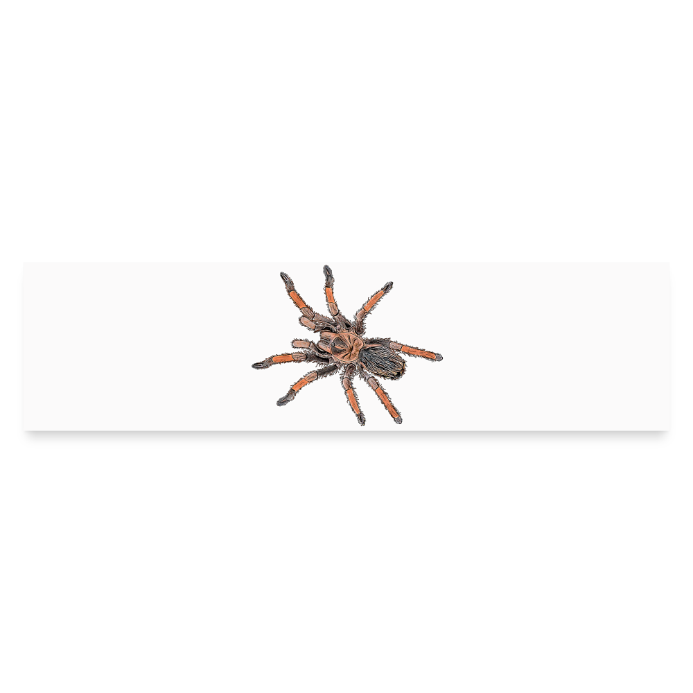 Auto-Aufkleber Brachypelma emilia - Mattweiß