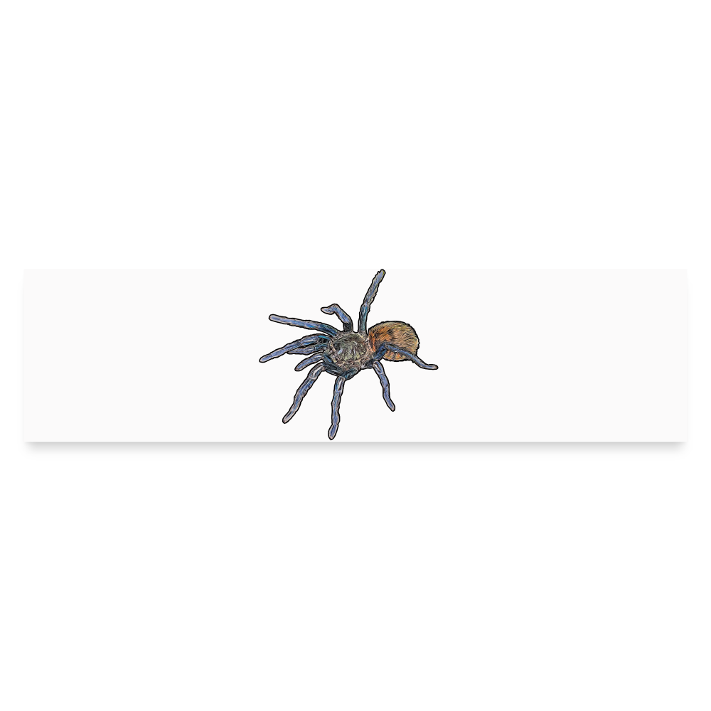 Auto-Aufkleber Chromatopelma cyaneopubescens - Mattweiß
