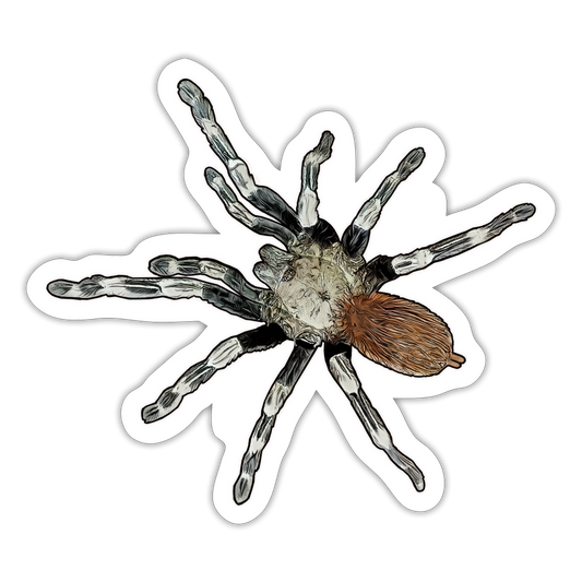 Sticker Nhandu chromatus - Mattweiß