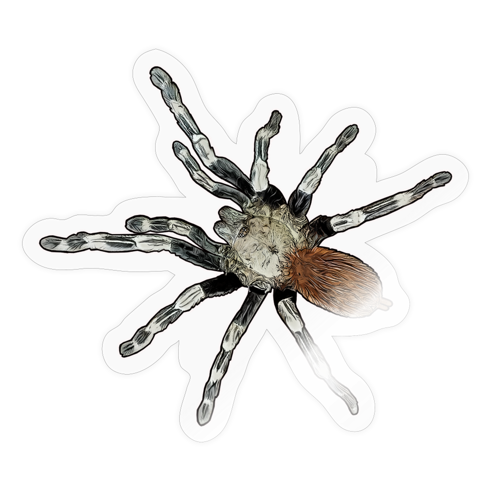 Sticker Nhandu chromatus - Transparent glänzend