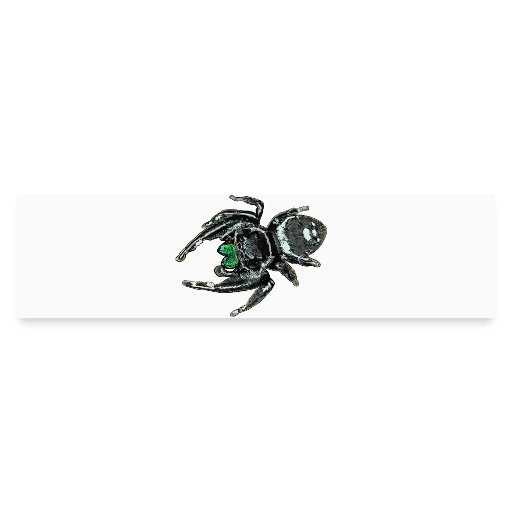 Auto-Aufkleber Phidippus regius White Bahamas male - Mattweiß