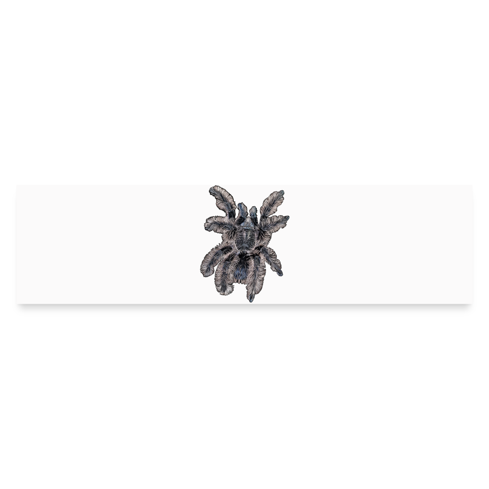 Auto-Aufkleber Tliltocatl albopilosus - Mattweiß