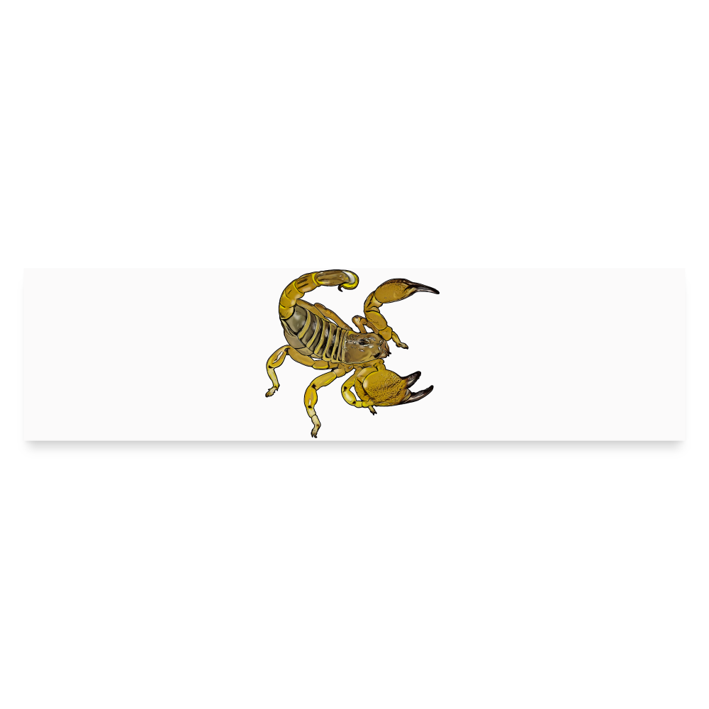 Auto-Aufkleber Scorpio maurus palmatus - Mattweiß
