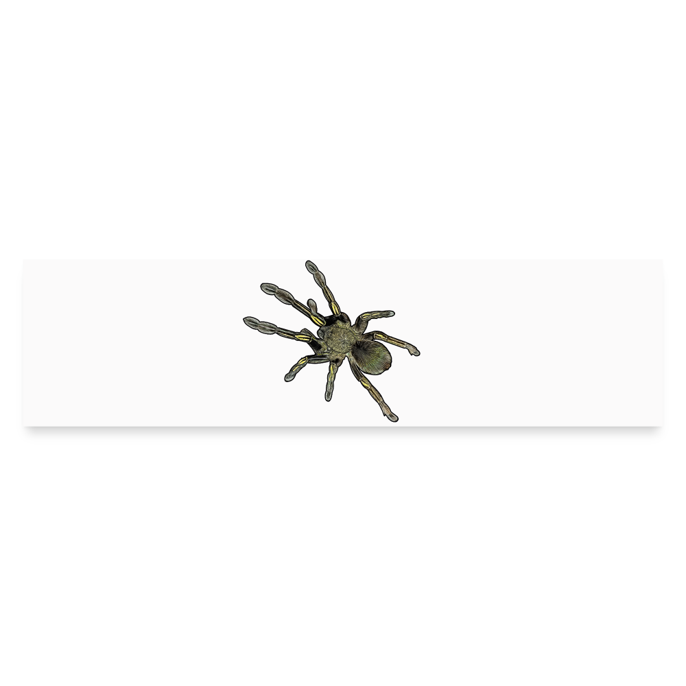 Auto-Aufkleber Ephebopus murinus - Mattweiß