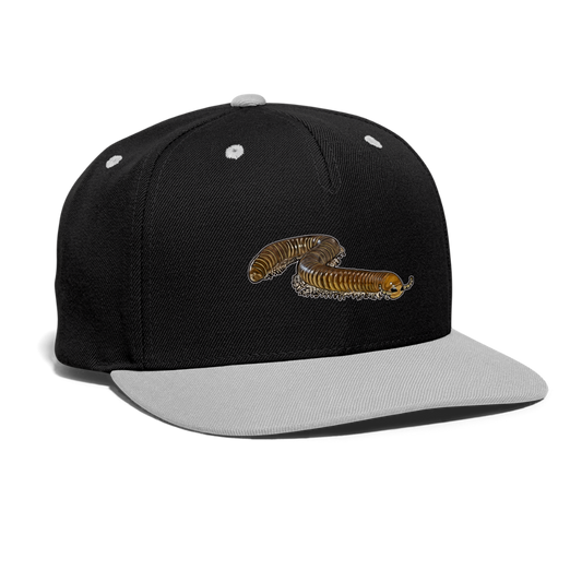 Cappy Kontrast Snapback Telodeinopus aoutii - Schwarz/Grau