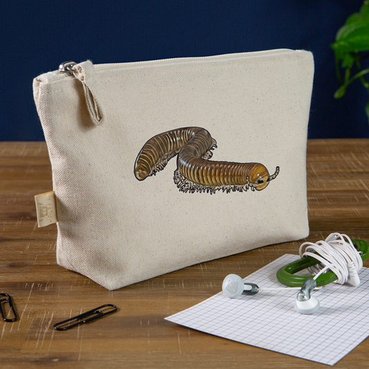 Täschchen Telodeinopus aoutii - Natur