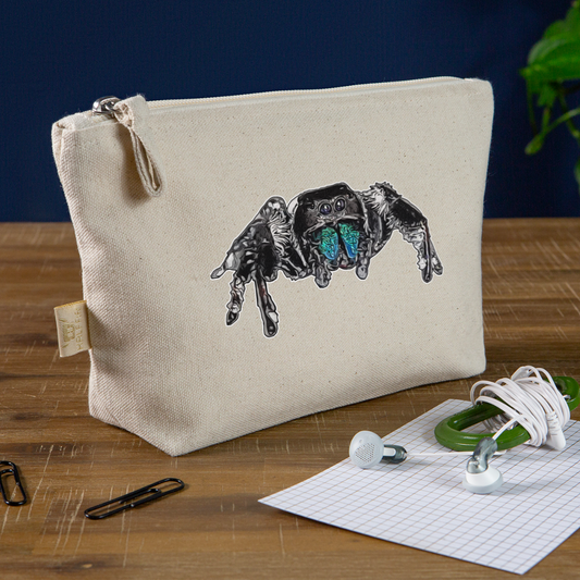 Täschchen Phidippus regius Everglades male - Natur