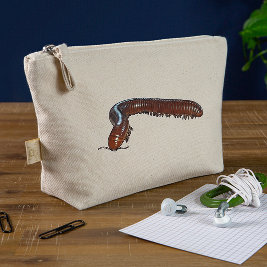 Täschchen Ophistreptus guineensis - Natur