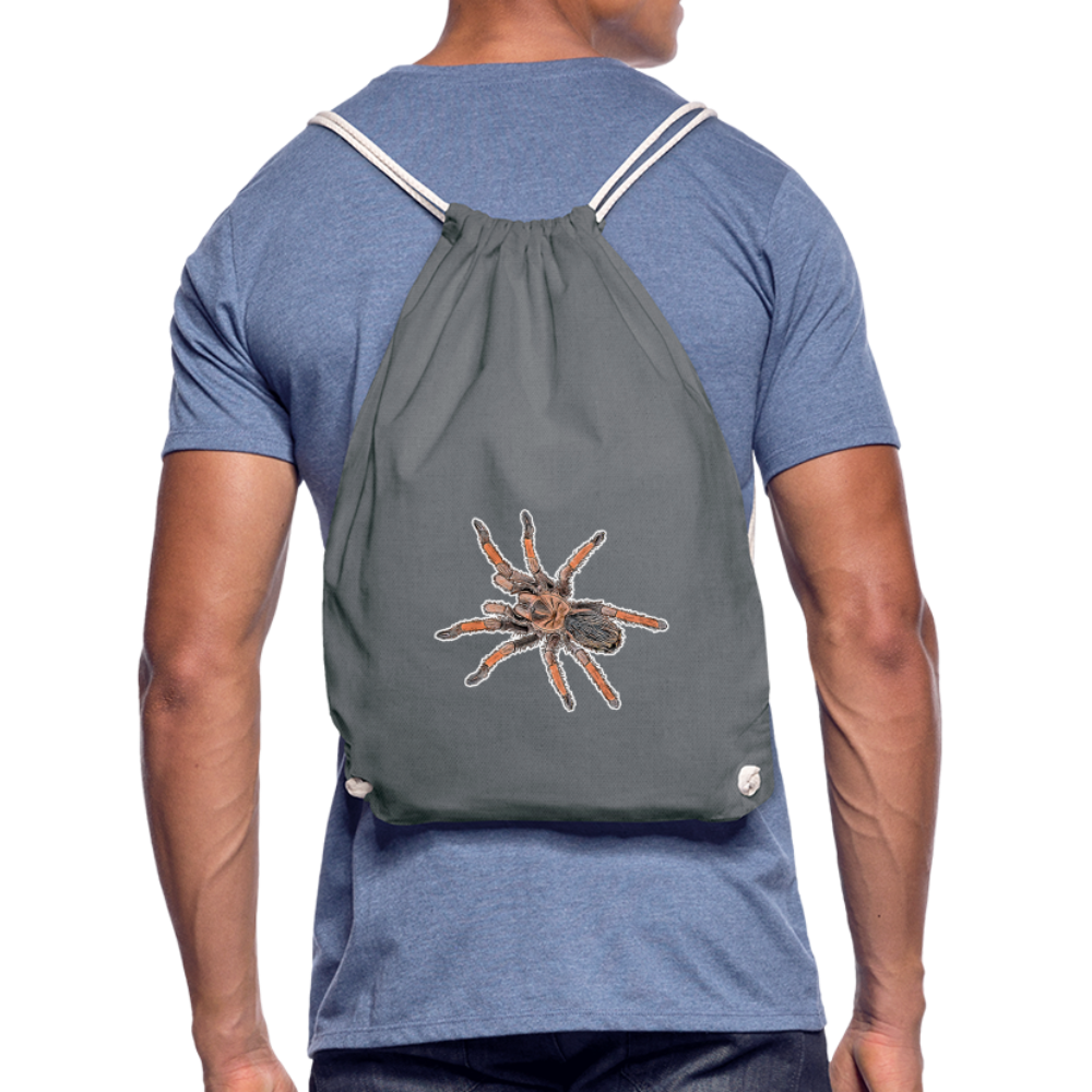 Turnbeutel Brachypelma emilia - Grau