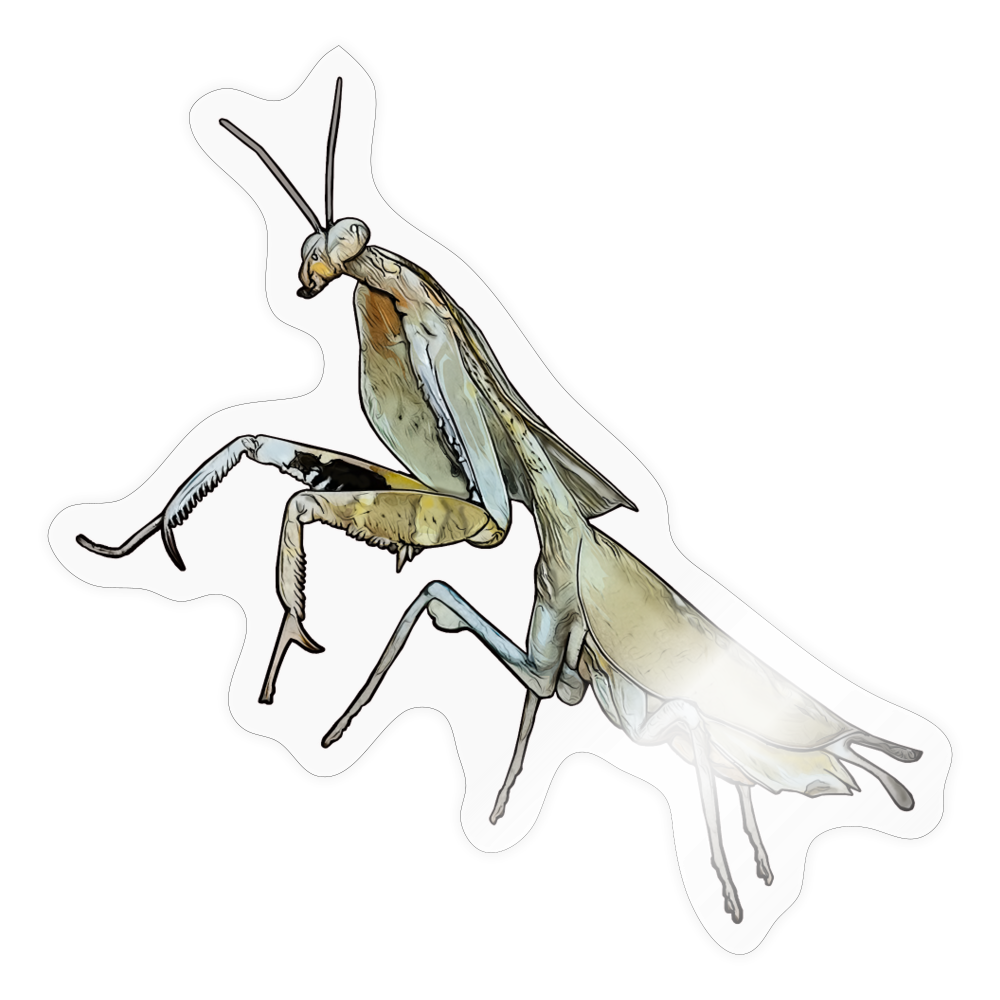Sticker Deroplatys truncata female - Transparent glänzend