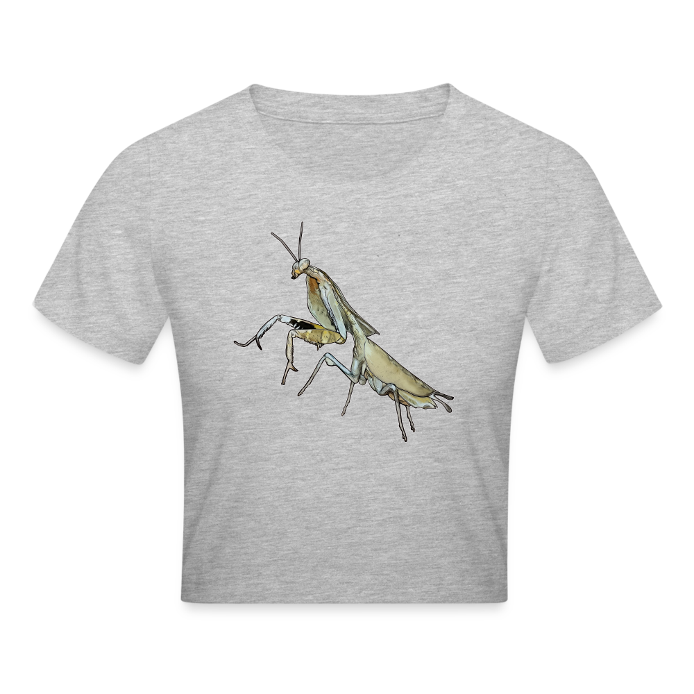 Crop T-Shirt Deroplatys truncata female - Grau meliert