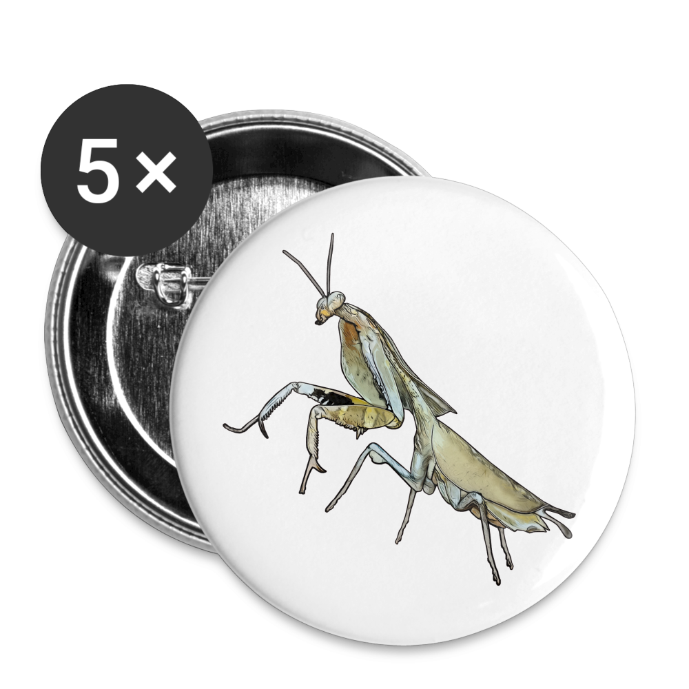 Buttons mittel 32 mm (5er Pack) Deroplatys truncata female - weiß