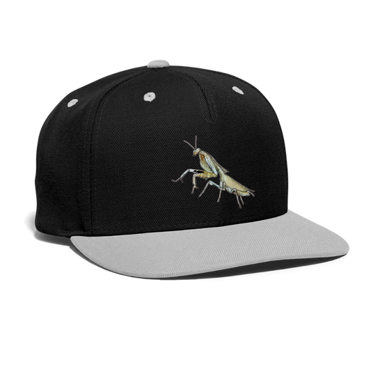 Cappy Kontrast Snapback Deroplatys truncata female - Schwarz/Grau