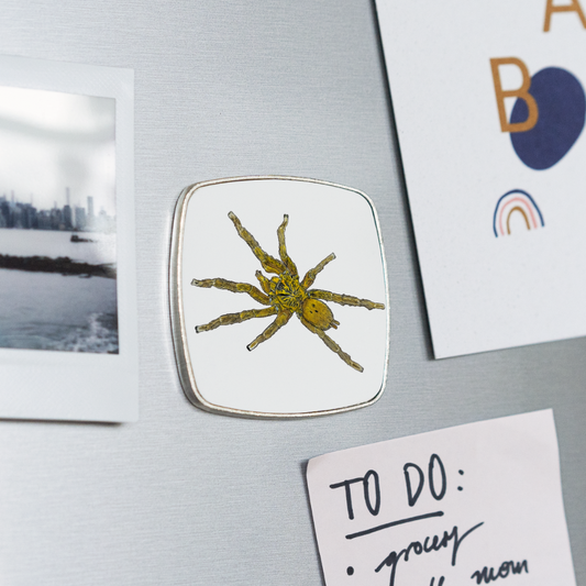 Kühlschrankmagnet eckig Pterinochilus murinus umv - weiß