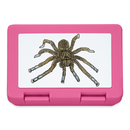 Lunchbox Idiothele mira - Pink