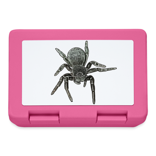 Lunchbox Eresus walckenaeri - Pink