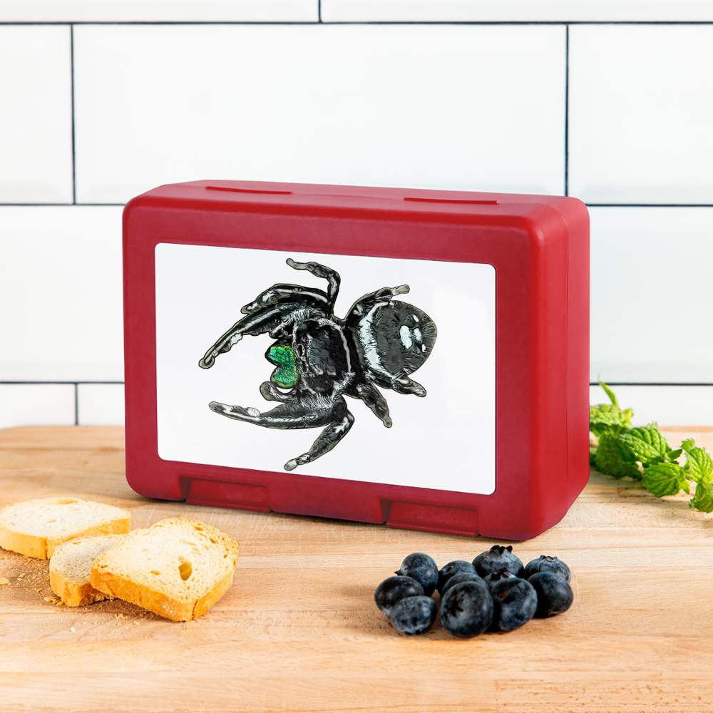 Lunchbox Phidippus regius White Bahamas male - Rot