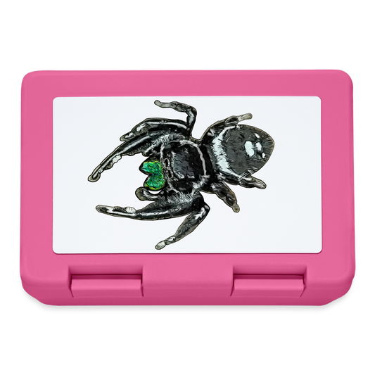 Lunchbox Phidippus regius White Bahamas male - Pink