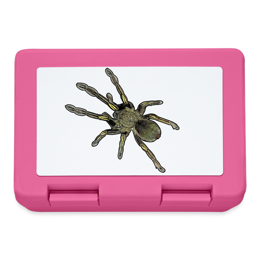Lunchbox Ephebopus murinus - Pink