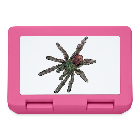 Lunchbox Caribena versicolor - Pink