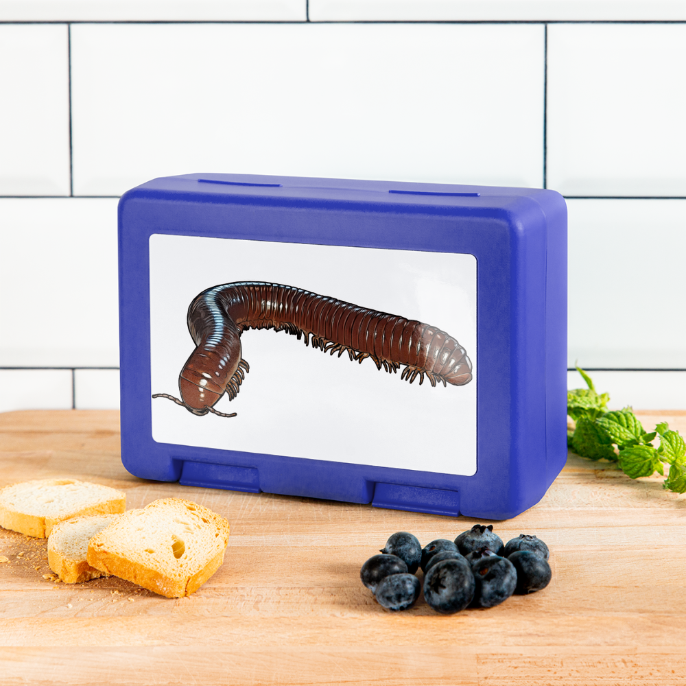 Lunchbox Ophistreptus guineensis - Royalblau