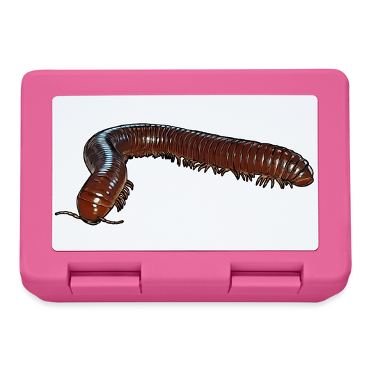 Lunchbox Ophistreptus guineensis - Pink