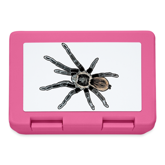 Lunchbox Tliltocatl vagans - Pink