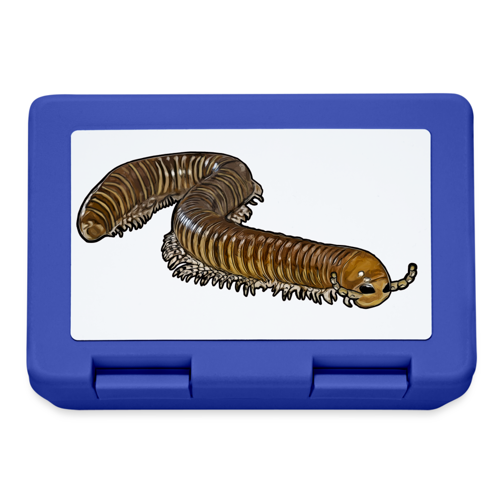 Lunchbox Telodeinopus aoutii - Royalblau