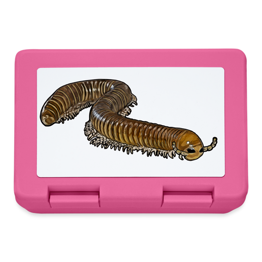 Lunchbox Telodeinopus aoutii - Pink