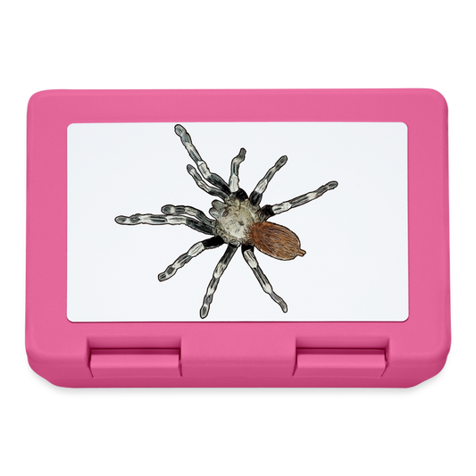 Lunchbox Nhandu chromatus - Pink
