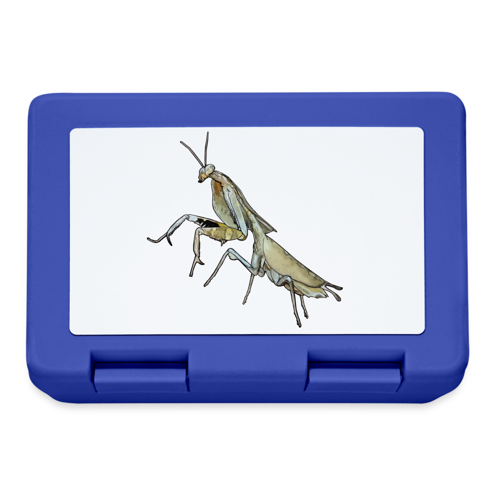 Lunchbox Deroplatys truncata female - Royalblau