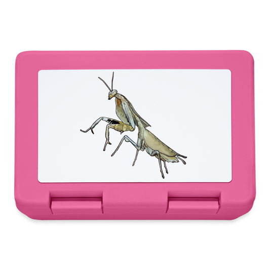 Lunchbox Deroplatys truncata female - Pink