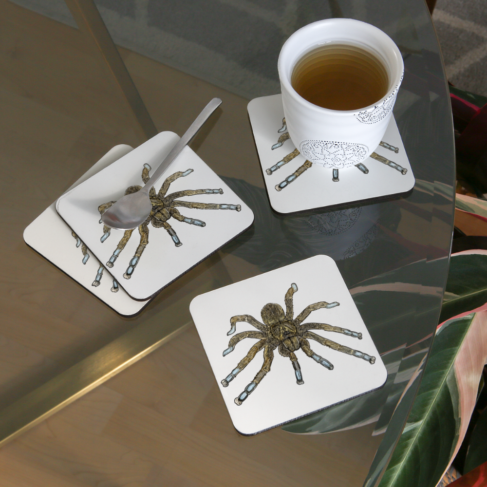 Untersetzer 4er-Set Idiothele mira - weiß