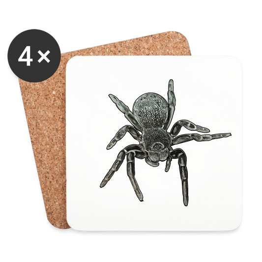 Untersetzer 4er-Set Eresus walckenaeri - weiß