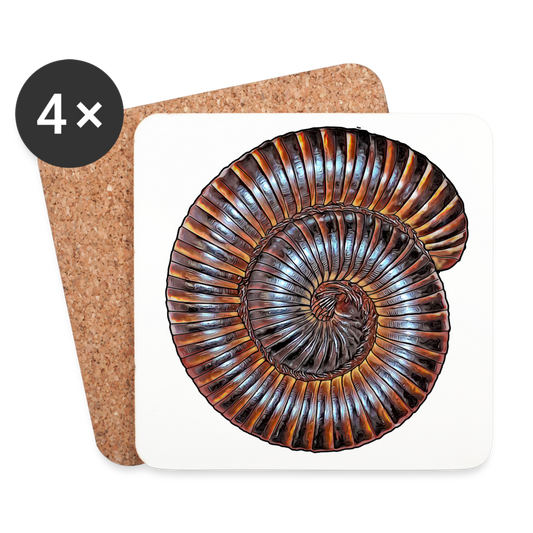 Untersetzer 4er Set Archispirostreptus gigas - weiß