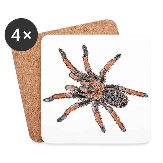 Untersetzer 4er Set Brachypelma emilia - weiß