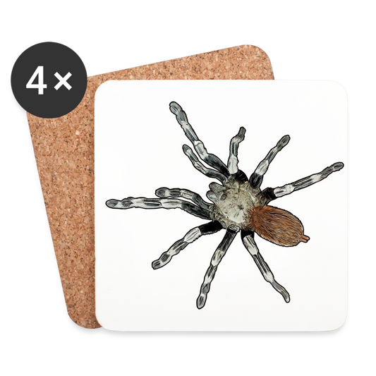 Untersetzer 4er Set Nhandu chromatus - weiß