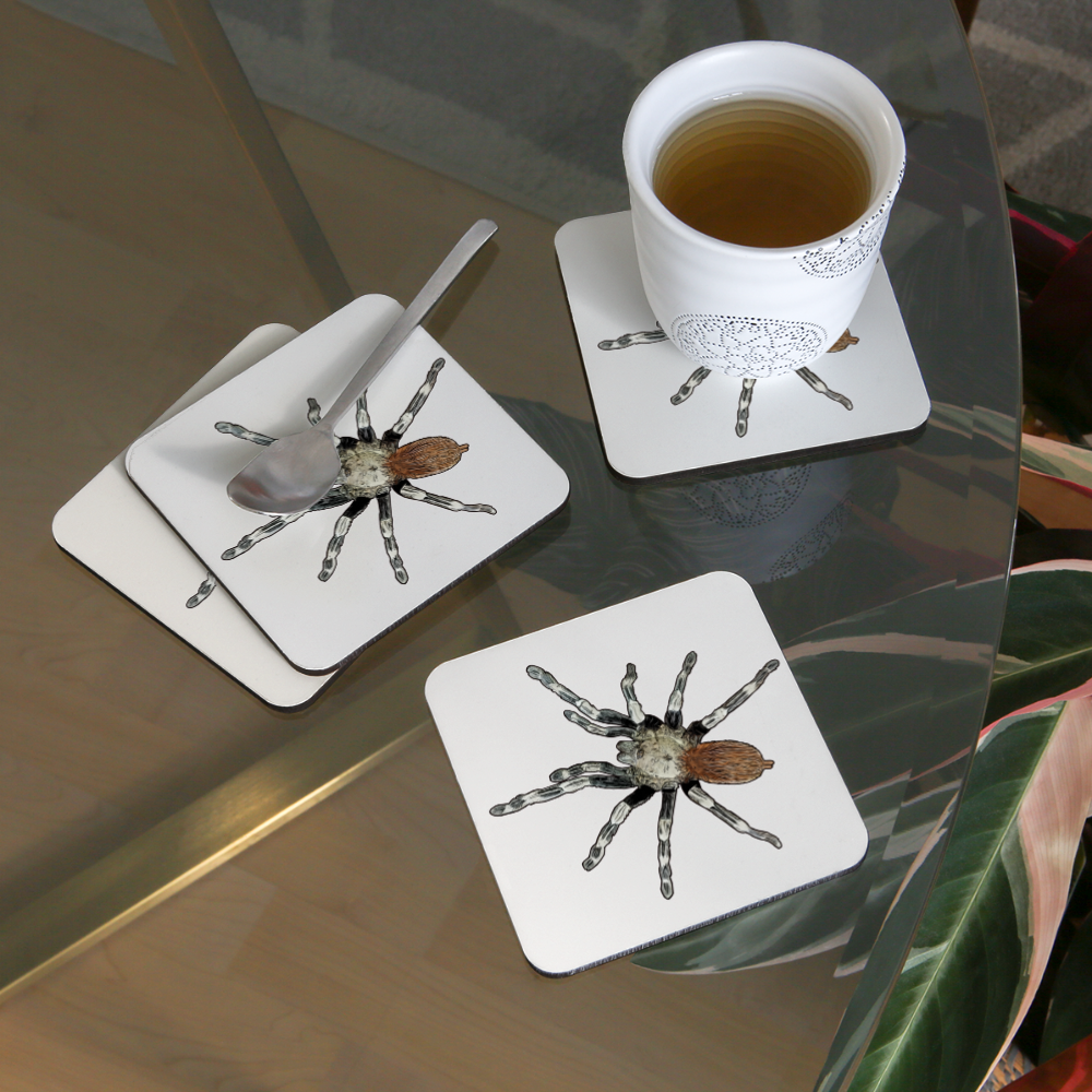 Untersetzer 4er Set Nhandu chromatus - weiß