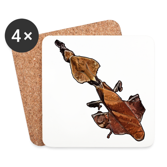 Untersetzer 4er Set Phyllocrania paradoxa female - weiß