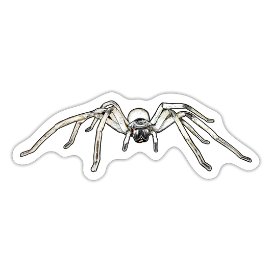 Sticker Cerbalus negebensis - Mattweiß