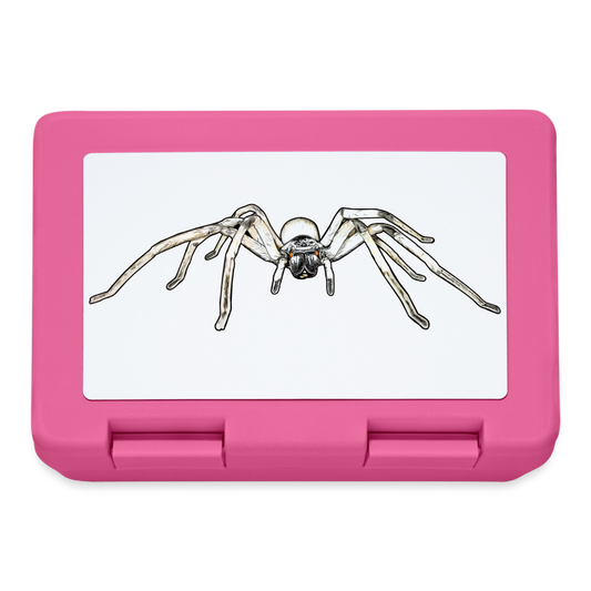 Lunchbox Cerbalus negebensis - Pink