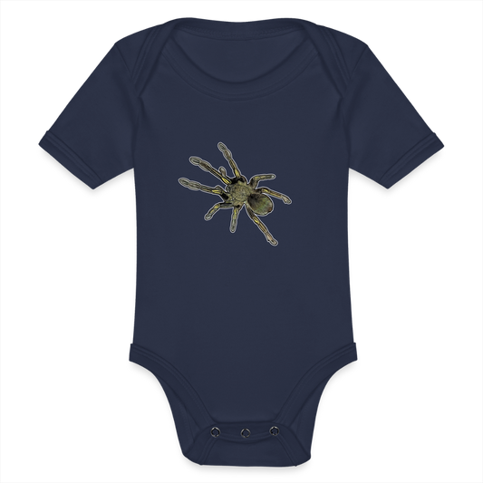 Baby Bio Body kurz Ephebopus murinus - Dunkelnavy