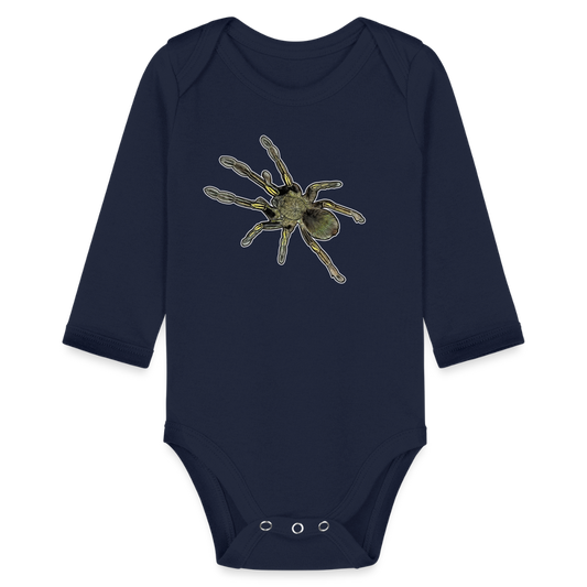 Baby Bio Body lang Ephebopus murinus - Dunkelnavy