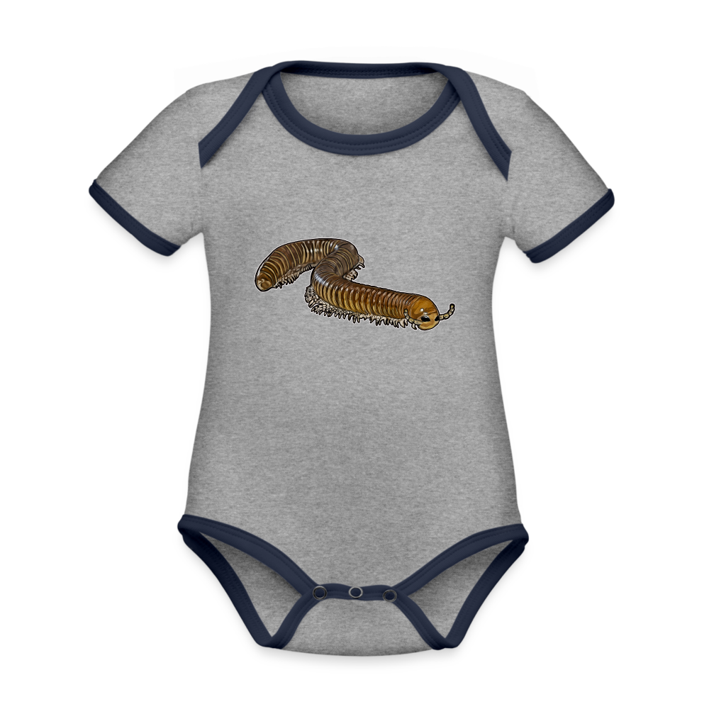 Baby Bio Kontrastbody kurz Telodeinopus aoutii - Grau meliert/Navy