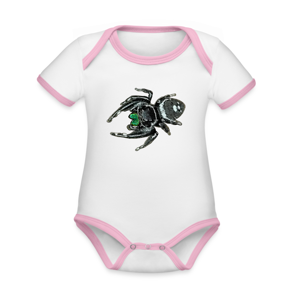 Baby Bio Kontrastbody kurz Phidippus regius White Bahamas male - Weiß/Rose