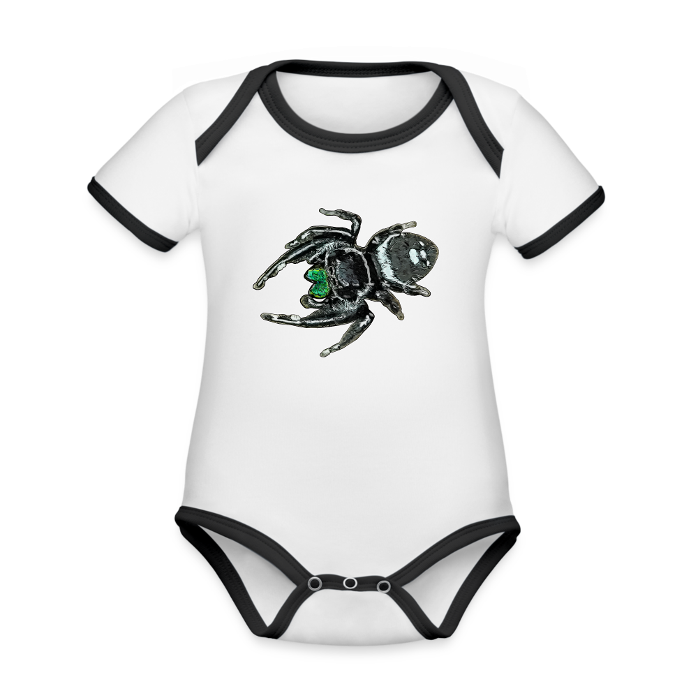 Baby Bio Kontrastbody kurz Phidippus regius White Bahamas male - Weiß/Schwarz