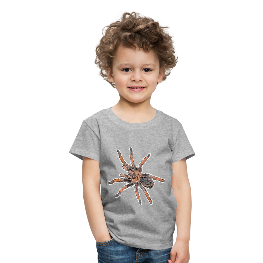 Kinder Basic T-Shirt Brachypelma emilia - Grau meliert