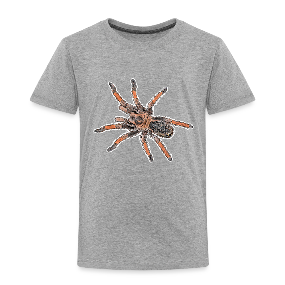 Kinder Basic T-Shirt Brachypelma emilia - Grau meliert