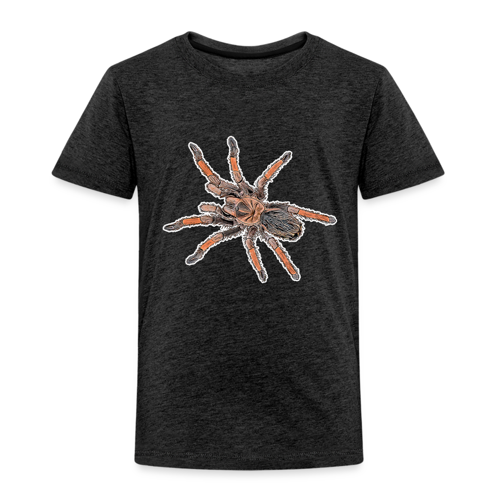 Kinder Basic T-Shirt Brachypelma emilia - Anthrazit