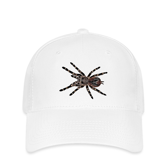 Flexfit Cap Acanthoscurria geniculata - weiß